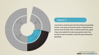 PowerPoint Editable Vinyl Records Shapes