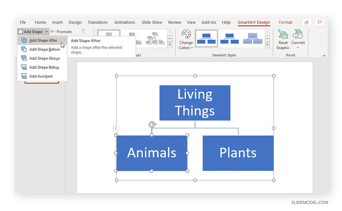 Concept Map PowerPoint Example