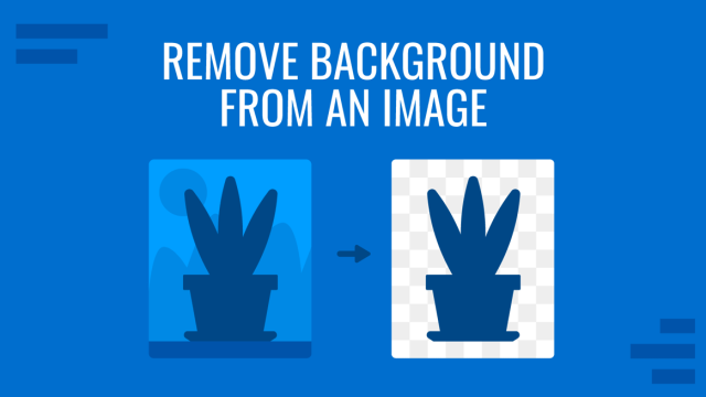 How To Remove Background From Image in PowerPoint