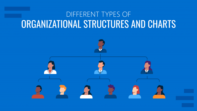 Types of Organizational Structures & Org Charts (with Examples + Templates)
