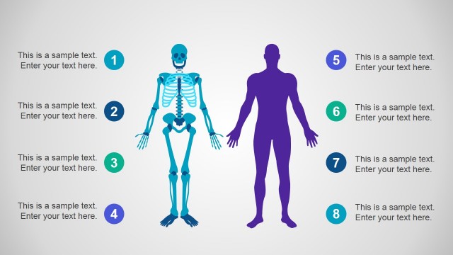 04-skeleton-powerpoint-body