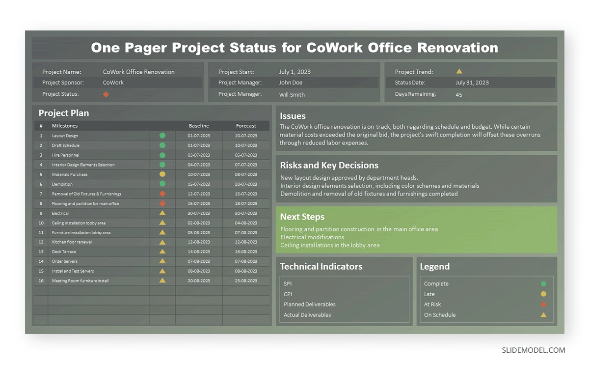 Next Steps highlighted in a Project Status Report
