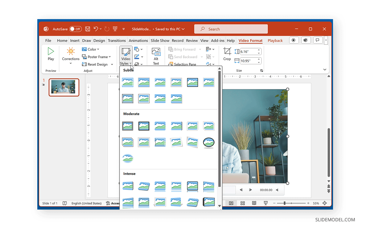 Video Styles options in PowerPoint