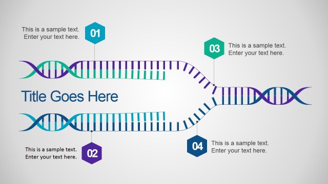 08-dna-diagram-powerpoint