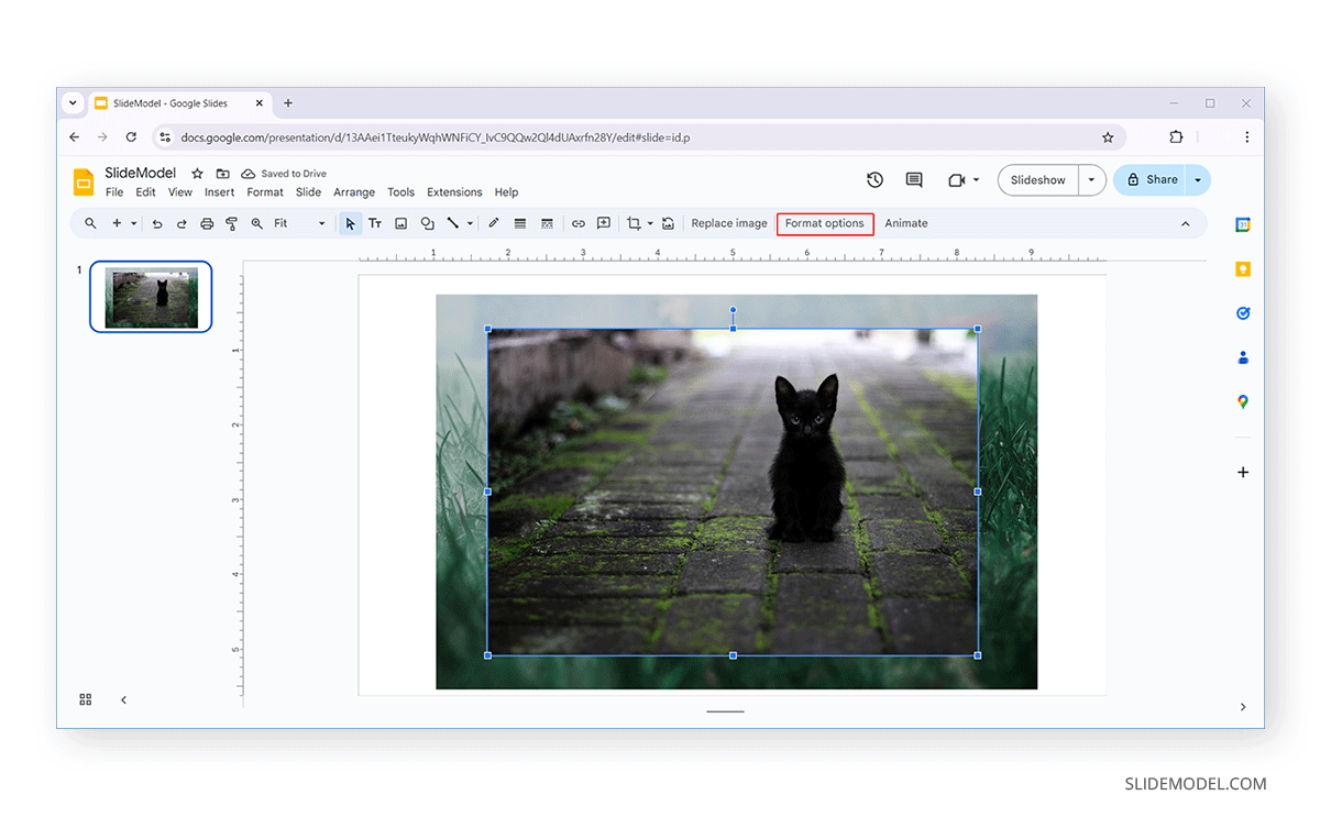 Format Options to blend images in Google Slides