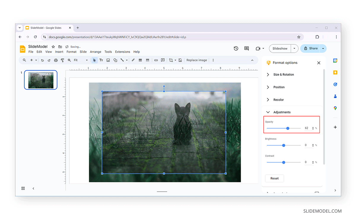 Reducing opacity for cat image Google Slides