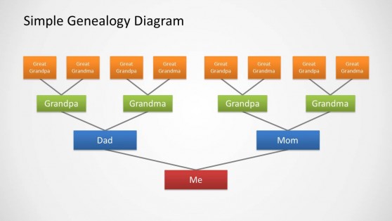 PowerPoint Tree Diagram Templates flat organizational structure diagram 