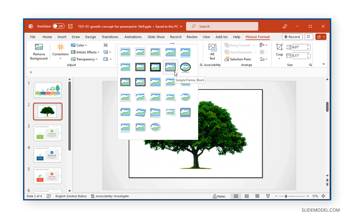 Utilisation des styles d'image dans PowerPoint