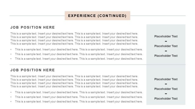 Job Experience Professional Resume PPT