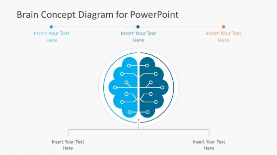 Editable Template of Brain Circuits Concept