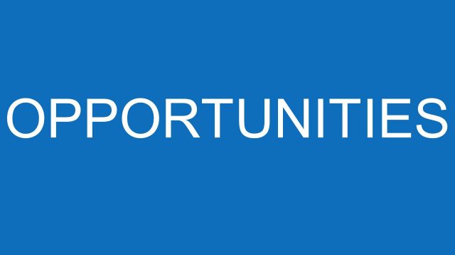 Slide of SWOT Opportunities