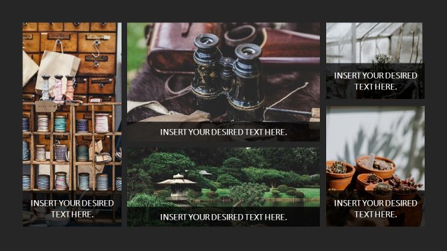 PowerPoint Slide for Label Photos