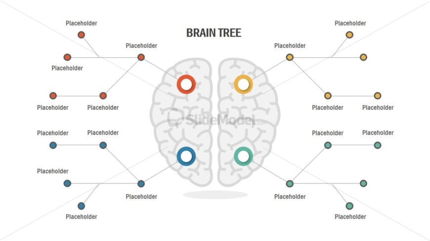 Infogrpahic Brain Tree Diagram