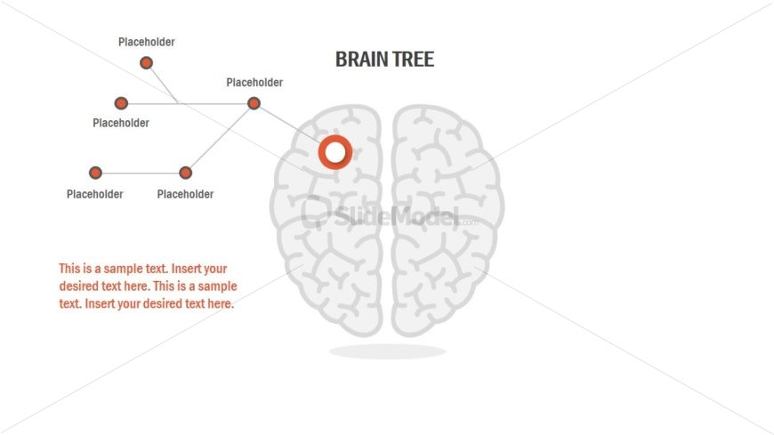 Mind Mapping Presentation Design