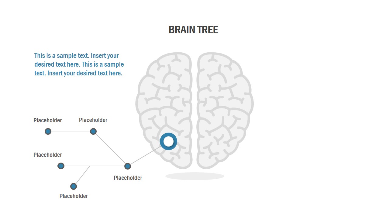 human brain mapping template human brain mapping template