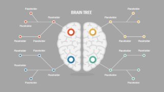 Presentation of Brain Concepts 