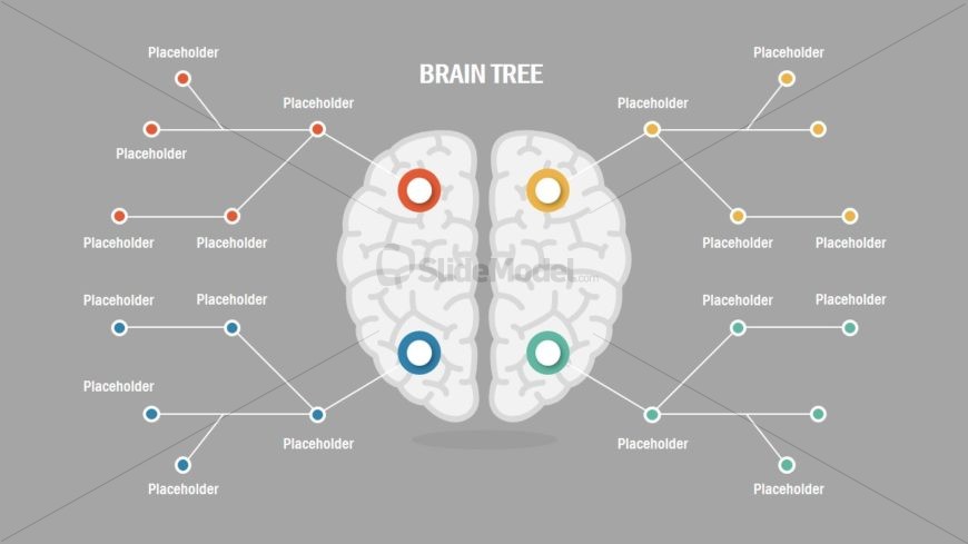 Presentation of Brain Concepts