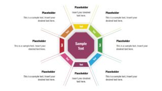 Octagon 8 Steps Process Diagram