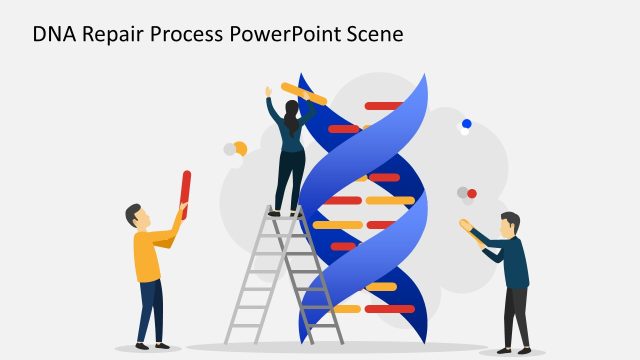 DNA Repair Process PowerPoint Scene