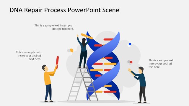 Editable DNA Repair Process Scene Template