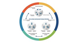 Presentation of One Health Model Diagram