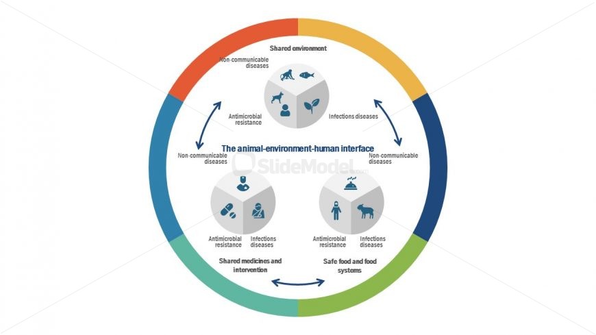 Presentation of One Health Model Diagram