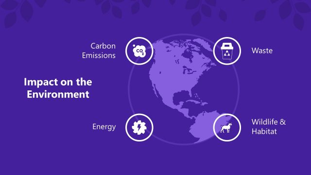 Template for COVID-19 Impact on Environment