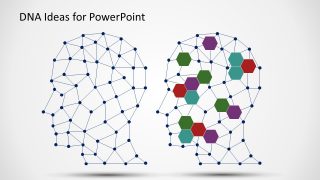 Network DNA Structure Presentation