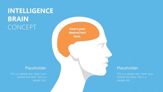 Human Head and Brain Shapes Silhouette