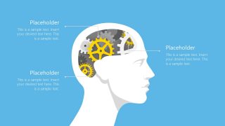 Presentation of Gears and Human Head Shapes