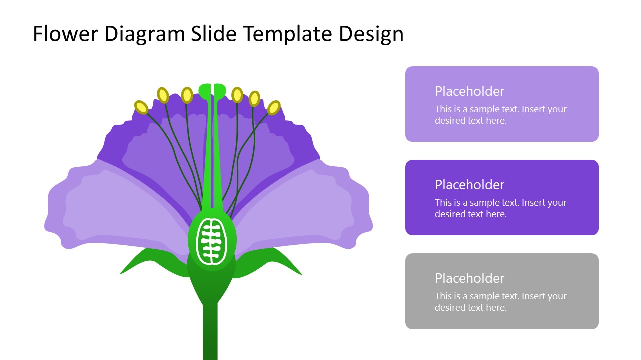 Flower Diagram Slide Template Design for PowerPoint - SlideModel