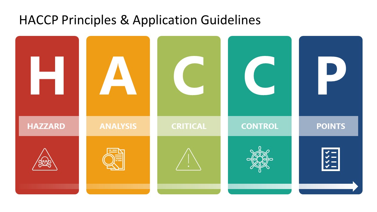 Haccp Principles And Application Powerpoint Template Slidemodel