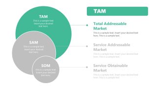 TAM Highlight Slide of Market Analysis Template