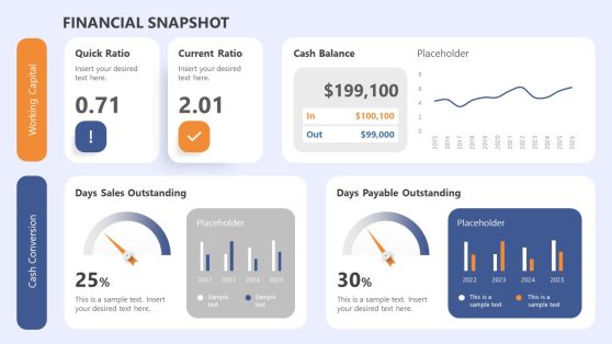 Financial Snapshot PowerPoint Template