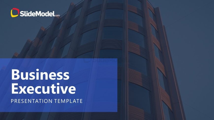 Business Executive PPT Slide
