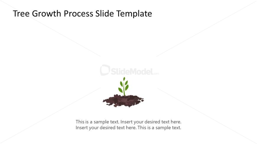 Editable Tree Growth Process Template