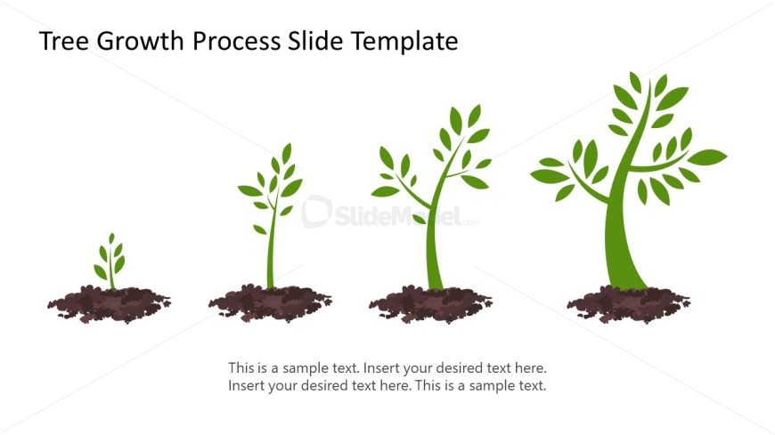 Tree Growth Process Presentation Template