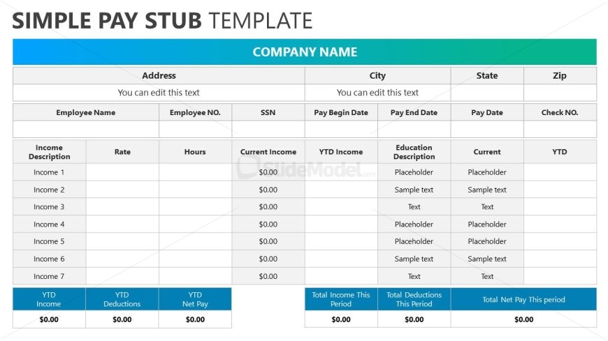 PPT Pay Stub Slide Template for Presentation