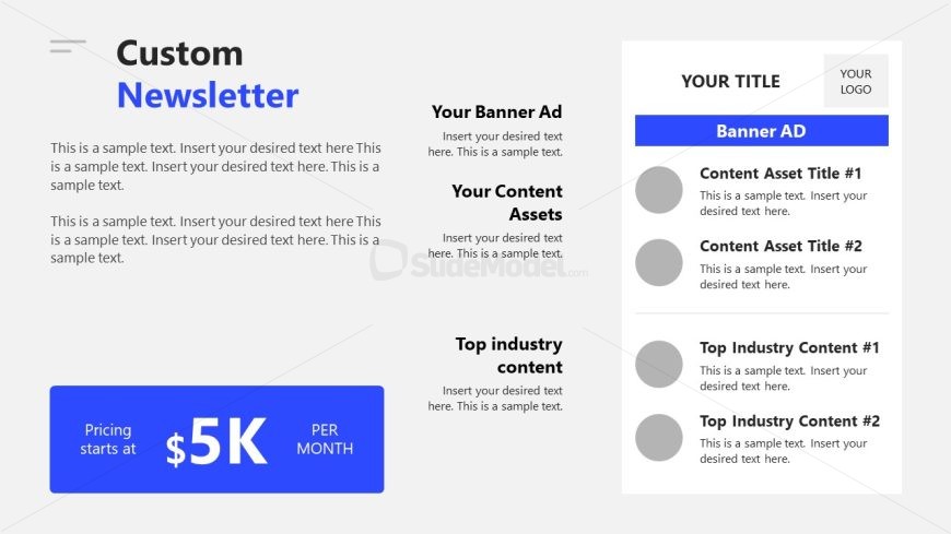Custom Newsletter Slide for Web Publisher Media Kit PPT Template
