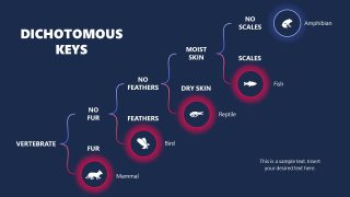 PowerPoint Template for Dichotomous Keys Presentation 