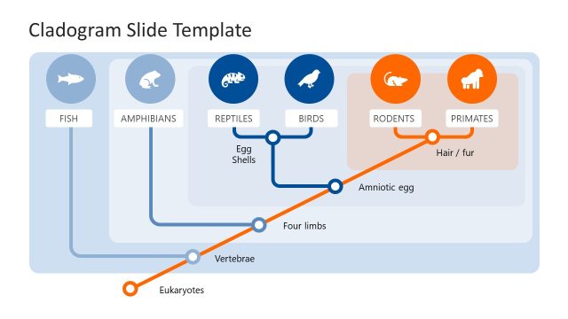 Customizable Cladogram PPT Template
