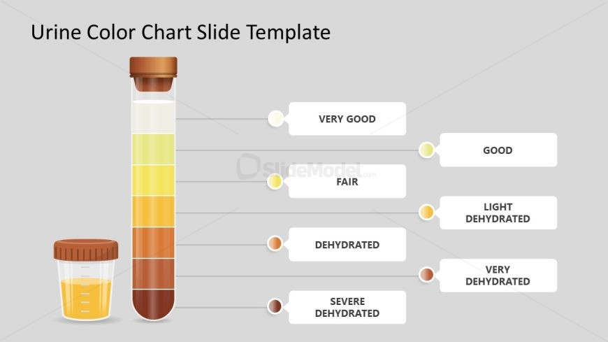 PPT Template for Urine Color Chart Presentation