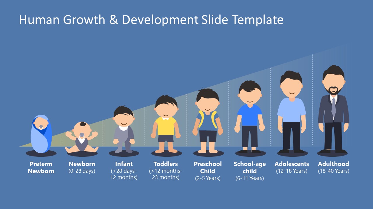 Editable Human Growth & Development PPT Template