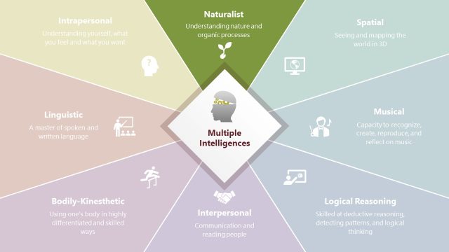 Multiple Intelligences Diagram – Naturalist Segment Highlight