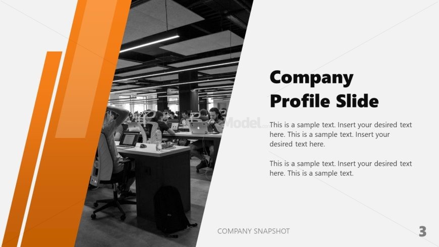 Company Snapshot Presentation Template 