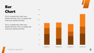 Data Visualization Slide for Company Snapshot Template 