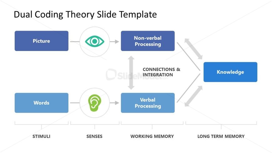 Editable Dual Coding Theory Template