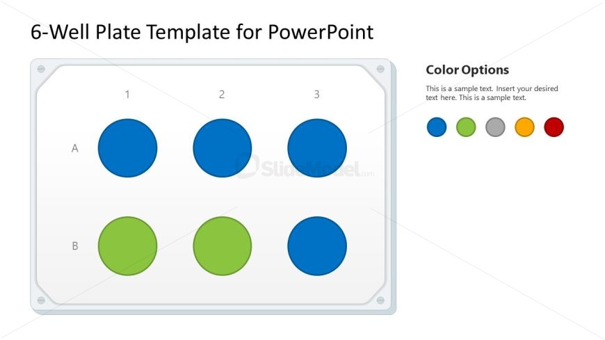 Editable 6-Well Plate Template