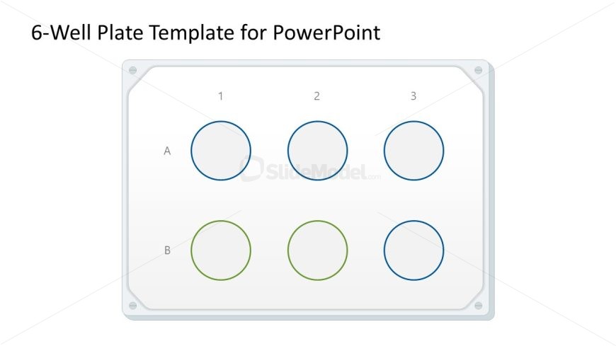 6-Well Plate Presentation Template 