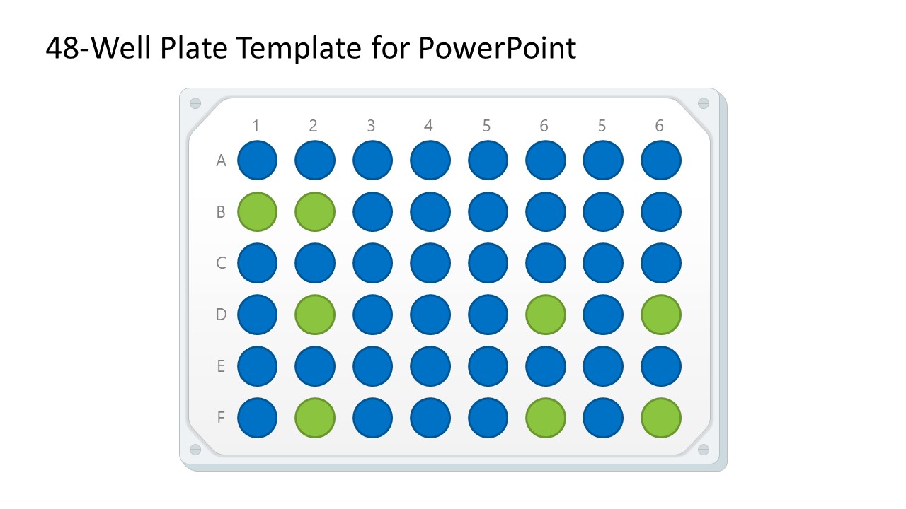 48-Well Plate Template for Presentation 